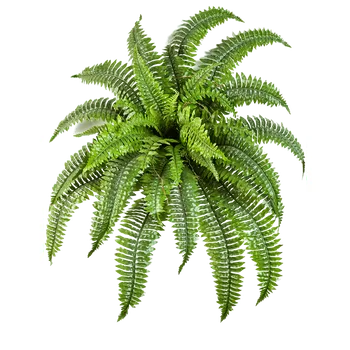 umělá květina Nephrolepis Boston Busch (75cm)-umělá -ý