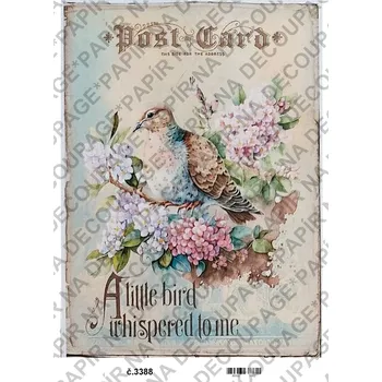 Umělecký papír Rýžový a soft papír na decoupage - Vintage, ptáček, nápisy - KB3388 Materiál: Soft, Rozměr: A4