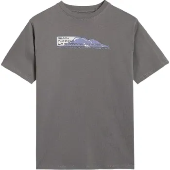 Chlapecké tričko Dětské triko 4F Tshirt M2409 Dětská velikost: 158 / Barva: šedá