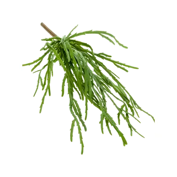 umělá květina Rhipsalis pandora Busch (35cm)-umělá -ý