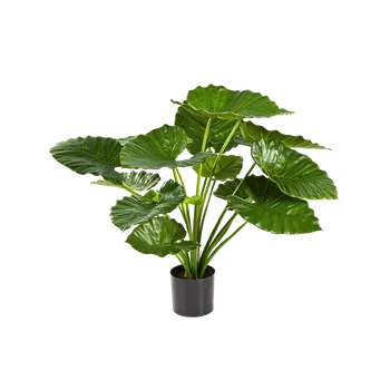 umělá květina Alocasia Calidora Busch (17x75cm)-umělá -ý