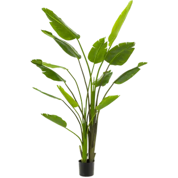 umělá květina Strelitzia Nicolai Tuft (180cm)-umělá -ý