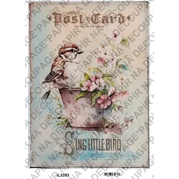Umělecký papír Rýžový a soft papír na decoupage - Vintage, ptáček, nápisy - KB3393 Materiál: Soft, Rozměr: A4