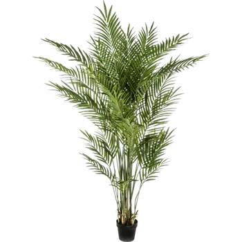 umělá květina Nieuwkoop Areca Busch (16x170cm)