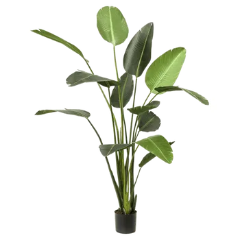 umělá květina Strelitzia Tuff (2 Teile 13 lvs.) (230cm)-umělá -ý