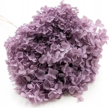umělá květina Hortenzie Stabilizovaná (Hydrangea Cabeza) - Fialová