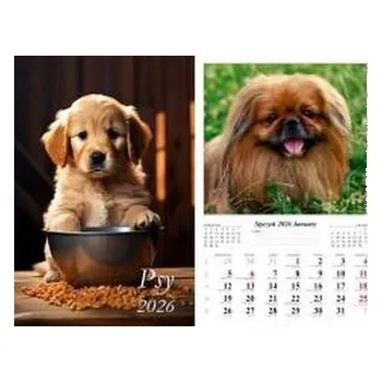 Kalendář Kalendarz 2026 ścienny Psy (pl, 2000, Radwan)
