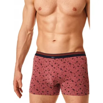 Pánské kraťasy Šortky KEY MXH-512 B23 L (40) rezavé