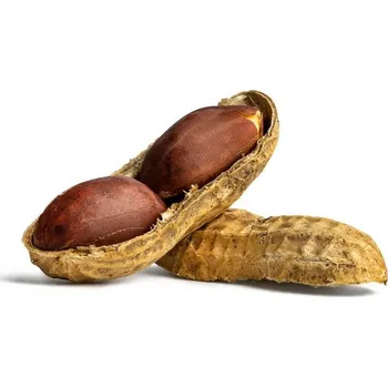 Arašídy neloupané pražené 500g, Nuties