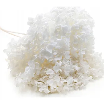umělá květina Stabilizovaná Hortenzie (Hydrangea Cabeza) - Bílá