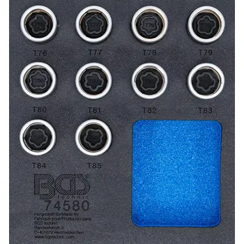 Sada nářadí Nářaďový modul 1/6: BGS 74580 Hlavice na bezpečnostní šrouby kol Tesla (Sada 10 ks) (BGS1074580)