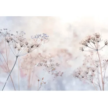 Fototapeta FOTOTAPETA KVĚTY BOHO PŘÍRODA DO LOŽNICE OBÝVACÍHO POKOJE TAPETA VLIESOVÁ 400x280