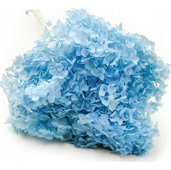 umělá květina Hortenzie Stabilizovaná (Hydrangea Cabeza) - Modrá