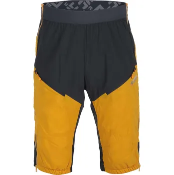 Pánské kraťasy LOGAN ALPHA 1.0 ::mango/anthracite::XS