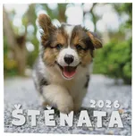 Baloušek Tisk Nástěnný kalendář Štěňata…