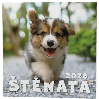 Kalendář Baloušek Tisk Nástěnný kalendář Štěňata 2026