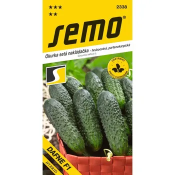 Travní směs Okurka nakládačka DAFNE F1