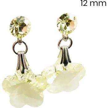 Náušnice Naušnice 29006717