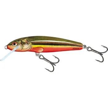Nástraha Salmo wobler Minnow 5 Rainbow Dace