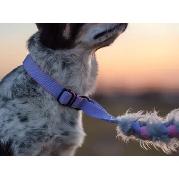 Vodítko pro psa Sweet Energy.cz Agility vodítko pletené s chlupatinou a amortizérem Barva: fialková, Velikost: 22-30 cm