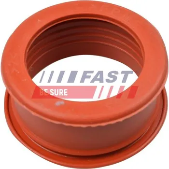 Hadička plnicího vzduchu FAST FT61773