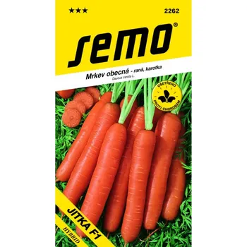 Semeno Mrkev JITKA F1