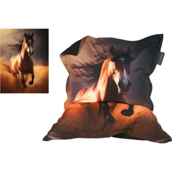 Sedací pytel Sedací pytel 180 x 140 cm - Kůň 3