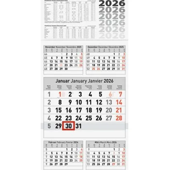 Diář BRUNNEN 1070281006 | 5-Monatskalender 2026 | 300×585 mm (EN)