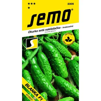 Travní směs Okurka nakládačka BLANKA F1 1,5 g