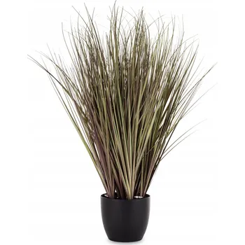 Obraz LED Dekorativní Rostlina