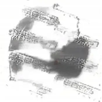 Stabilizátor nápravy Guma stabilizátoru přední nápravy D25 FEBEST MSB-CS5WF