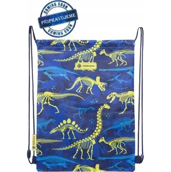 Obraz Sáček AstraBag 44 x 33 cm