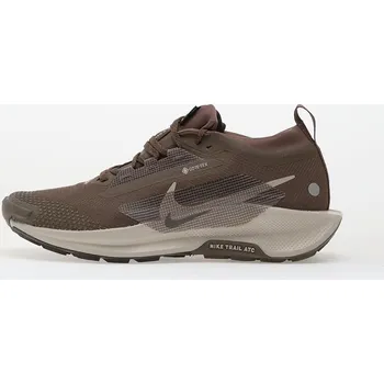 Dámská obuv Tenisky Nike Pegasus Trail 5 Gore-Tex Ironstone/ College Grey-Velvet Brown EUR 40