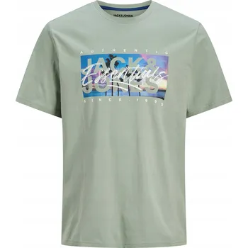 Pánské tričko Jack & Jones Pánské tričko JACK&JONES-12268438 ICEBERG GREEN Zelené