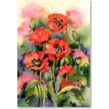 Obraz DIAMANTOVÁ VÝŠIVKA / DIAMANTOVÁ MOZAIKA - VLČÍ MÁKY 30x40 cm