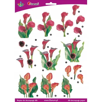 Barevný papír Ozdobný papír A4 Titanum 0 g/m2 0 listů