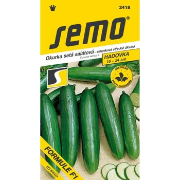 Travní směs Okurka salátová FORMULE F1 10 semen