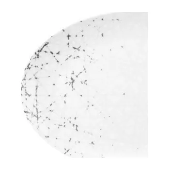 Oválný podnos 32 x 21 cm LIBERTY BRACE, stříbrná, Seltmann Weiden ▪ Kč 480 ️ - Luxurytable.cz Seltmann Weiden