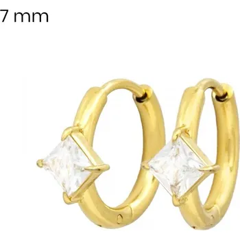 Náušnice Náušnice EXEED 24519702