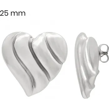 Náušnice Náušnice EXEED 24546901