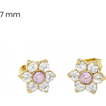 Náušnice Náušnice EXEED 24521002