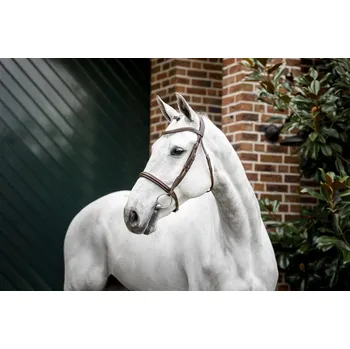 HORSEWARE Uzdečka Cavesson Horseware, hnědá FULL