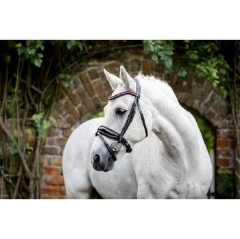 HORSEWARE Uzdečka Pony Diamante Flash Horseware, black/pink PONY