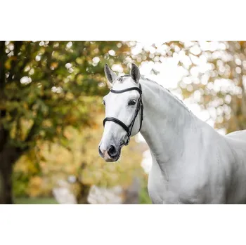 HORSEWARE Uzdečka Cavesson Horseware, černá COB