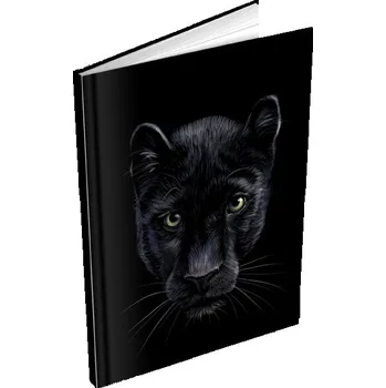 Zápisník Záznamová kniha A5 MFP 100l/čistá ZL5100 7501488