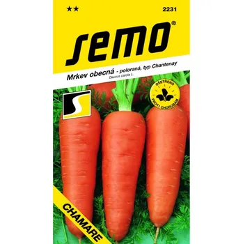 Semeno Mrkev CHAMARE