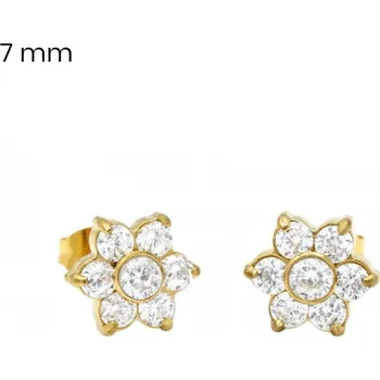 Náušnice Náušnice EXEED 24521001