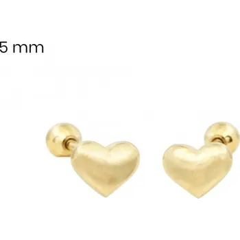 Náušnice Náušnice EXEED 24563002