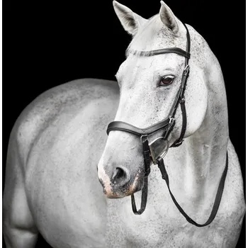 Rambo Micklem Uzdečka Competition Rambo Micklem, černá PONY