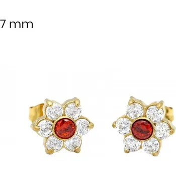 Náušnice Náušnice EXEED 24521003